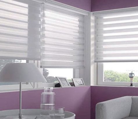 ZEBRA BLINDS 1